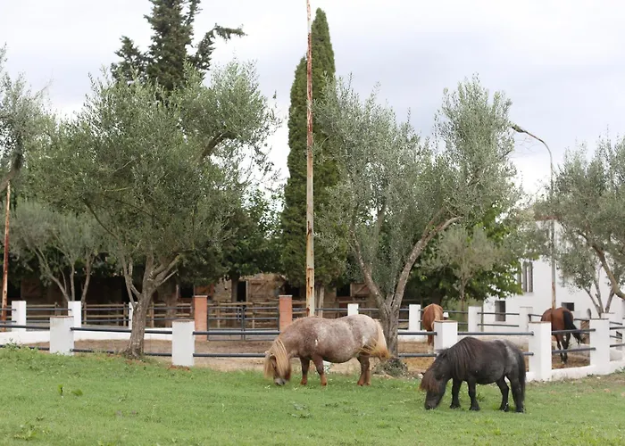 Masia Can Rovira - ESC1852