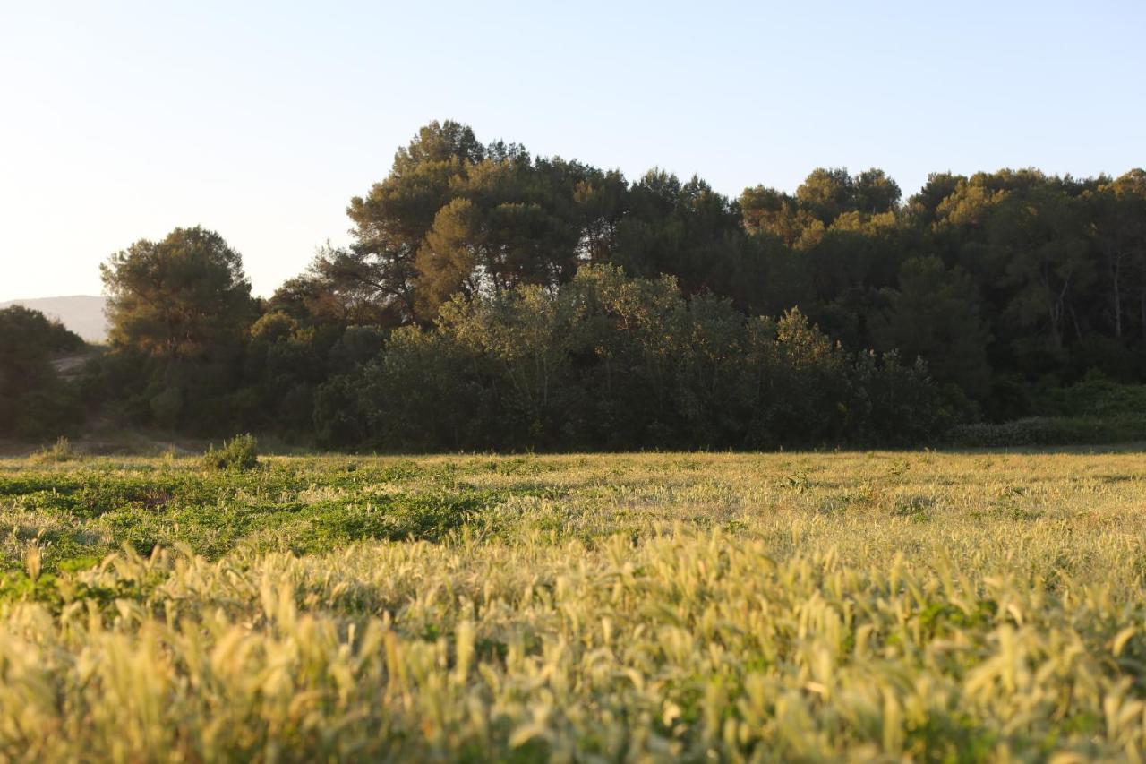 Masia Rovira - Esc1852 * Sant Llorenç d'Hortons