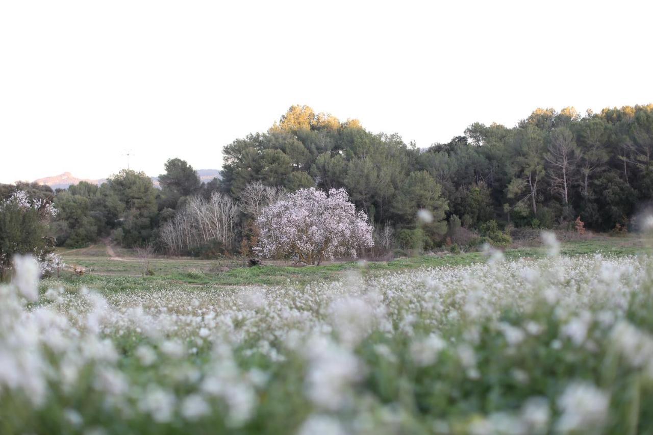Masia Rovira - Esc1852 Apartahotel Sant Llorenç d'Hortons